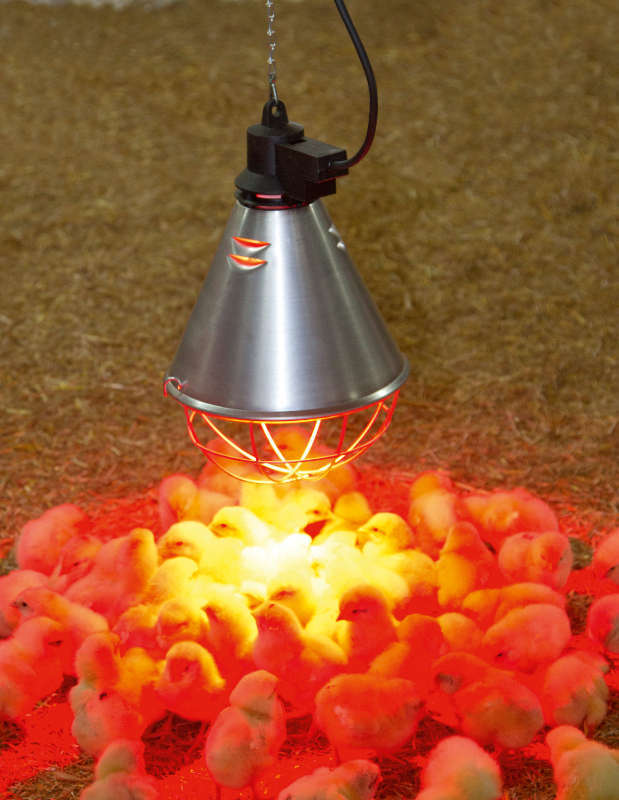 KERBL Infrarot-Wärmestrahlgerät